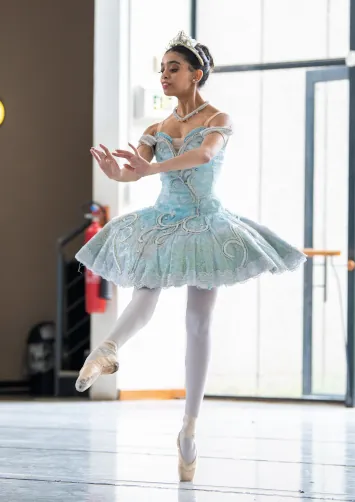 ballet arts and culture learning