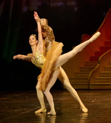 Joburg ballet corporate-partnerships