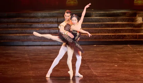 Artistic Excellence Fund