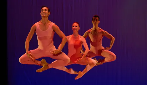 Dancer Wellness Fund