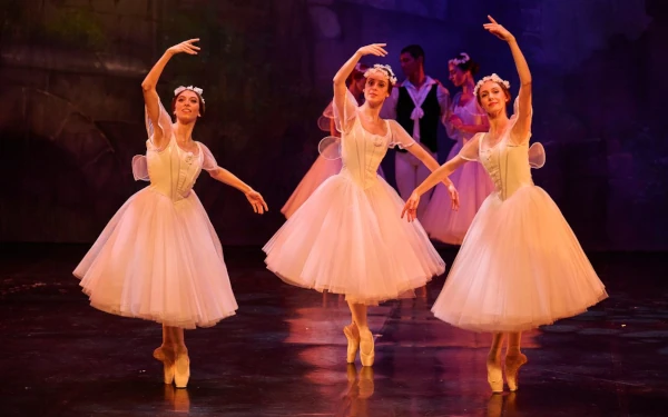 Donation Joburg Ballet