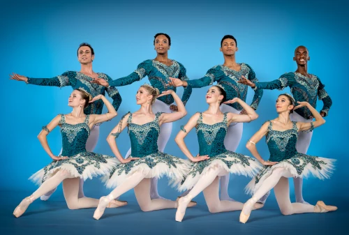 Joburg Ballet Support