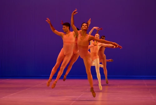 Professional Ballet Artists & Performers
