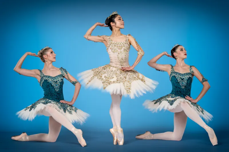 Spring Season of Dance